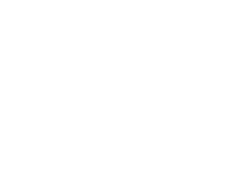 OneGlobe Video CV